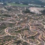 Ilustrasi deforestasi Indonesia. Foto: Auriga