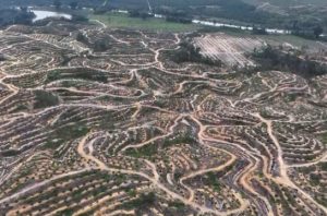 Ilustrasi deforestasi Indonesia. Foto: Auriga
