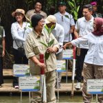 Penanaman 25.000 mangrove secara serentak di Indonesia. Foto: KLHK