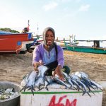 Kerusakan Teluk Balikpapan akibat pembangunan IKN terus mengancam para nelayan. Foto: Freepik