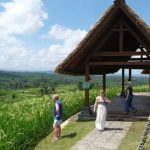 Subak Jatiluwih. Foto: World Water Forum
