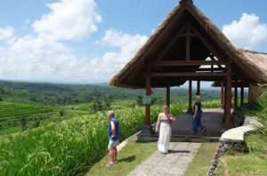 Subak Jatiluwih. Foto: World Water Forum