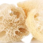 Ilustrasi Loofah. Foto: Freepik