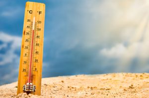 BMKG memastikan Indonesia tidak mengalami gelombang panas. Foto: Freepik