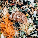 Ilustrasi sampah organik. Foto: Freepik