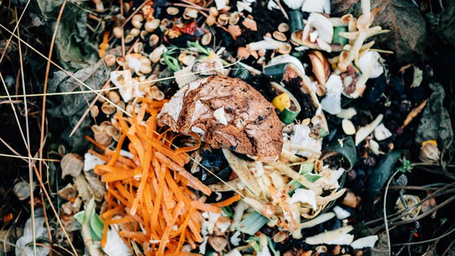 Ilustrasi sampah organik. Foto: Freepik