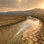 Ilustrasi kemarau. Foto: Freepik