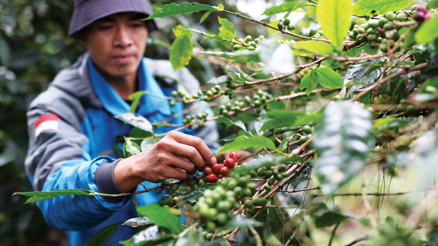 Ekonomi Nusantara merupakan model ekonomi restoratif dengan mengutamakan kedaulatan masyarakat lokal. Foto: ID COMM