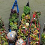 Ilustrasi bahan makanan berkelanjutan. Foto: Pexels