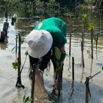 Eathink Movement dan Lindungi Hutan menanam 130 bibit mangrove. Foto: Eathink