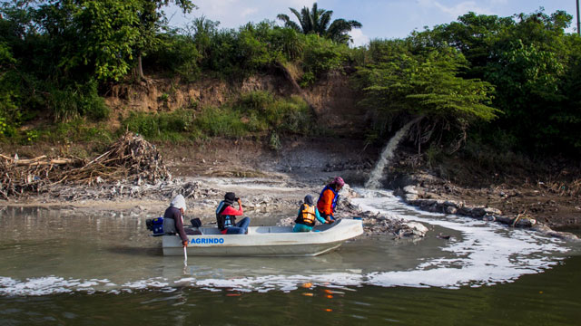 Kenaikan suhu menyebabkan punahnya plankton dan ikan di Sungai Brantas. Foto: Ecoton