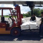 BMKG akan menyemai 13 ton NaCI untuk mencegah karhutla. Foto: BMKG