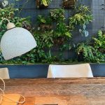 Desainer asal New York memuat hiasan lampu dari jamur. Foto: Yanko Design