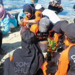 Walhi dan Dompet Dhuafa menanam 1.000 bibit mangrove di Pulau Pari. Foto: Walhi