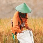 Bioteknologi bisa meningkatkan produksi hingga triliunan rupiah. Foto: IPB