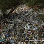 Sebanyak 100 produsen telah menyusun peta jalan pengurangan sampah. Foto: Dini Jembar Wardani