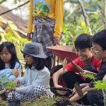 Ilustrasi berkebun. Foto: Rumah Mahika