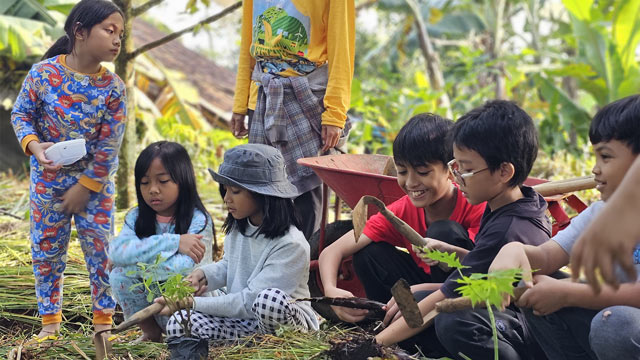 Ilustrasi berkebun. Foto: Rumah Mahika
