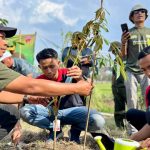 Penanaman 17.000 bibit pohon. Foto: Alfamidi