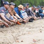 BKSDA Aceh melepasliarkan 1.107 ekor tukik tuntong laut di Muara Sungai Pusung Kapal. Foto: KLHK