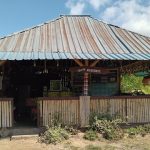 Desa Budeng memiliki kekayaan mangrove. Foto: Pesisir Lestari