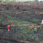 Titik panas karhutla. Foto: Gakkum KLHK