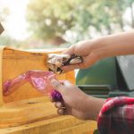 Pemprov DKI membebaskan biaya retribusi bagi warga yang aktif memilah sampah. Foto: Freepik