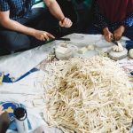 Pegiat pangan beberkan pentingnya pangan lokal. Foto: ID COMM