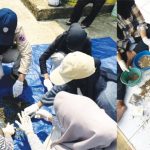 Mahasiswa IPB membantu warga Bogor mengelola sampah dengan maggot. Foto: Berita IPB