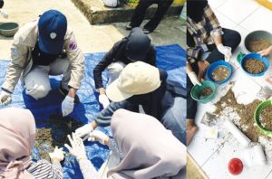 Mahasiswa IPB membantu warga Bogor mengelola sampah dengan maggot. Foto: Berita IPB