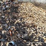 Pengelolaan sampah organik untuk pakan maggot. Foto: Dini Jembar Wardani