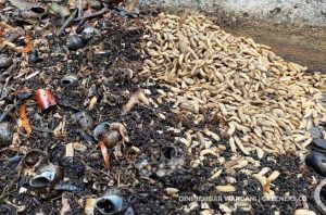 Pengelolaan sampah organik untuk pakan maggot. Foto: Dini Jembar Wardani