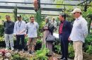 Kebun Raya Cibodas membuka kembali rumah kaca kantong semar sebagai edukasi untuk masyarakat umum. Foto: BRIN