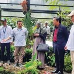 Kebun Raya Cibodas membuka kembali rumah kaca kantong semar sebagai edukasi untuk masyarakat umum. Foto: BRIN