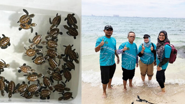 Tim Ahli IPB merancang rumah penyu di Pulau Rambut. Foto: Berita IPB