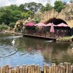 Jagat Satwa Nusantara akan mengampanyekan pelestarian satwa liar dalam acara musik "Sunset di Kebun" di TMII. Foto: JSN