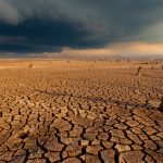 World Meteorogical Organization (WMO) telah mengonfirmasi bahwa 2024 tercatat sebagai tahun terpanas dalam sejarah. Foto: Freepik