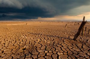 World Meteorogical Organization (WMO) telah mengonfirmasi bahwa 2024 tercatat sebagai tahun terpanas dalam sejarah. Foto: Freepik