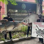 Komunitas lingkungan di Surabaya KOPIPA menggelar aksi dengan membawa replika ikan sebagai dukungan penuntasan kasus ikan mati di Brantas. Foto: Ecoton