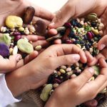 Ada banyak manfaat kacang-kacangan bagi tubuh. Foto: FAO