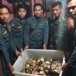 Kementerian Kehutanan berhasil menggagalkan perdagangan spesimen satwa liar. Foto: Kemenhut