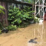 Banjir Bekasi. Foto: Dini Jembar Wardani