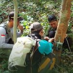 BBKSDA Jatim dan SINTAS telusuri jejak macan tutul di Raung Ijen. Foto: Kemenhut