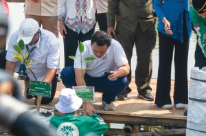 Penanaman 7.000 bibit mangrove. Foto: KLH