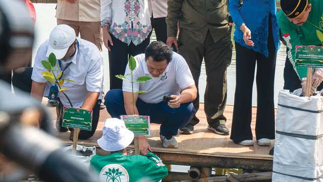 Penanaman 7.000 bibit mangrove. Foto: KLH