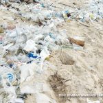 Hari Lingkungan Hidup 2025 angkat tema "Ending Plastic Pollution". Foto: Dini Jembar Wardani