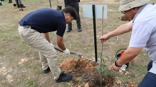 Penanaman bibit ramin dan gaharu di Tahura SSH. Foto: Belantara Foundation