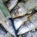 Ahli pangan IPB menjelaskan bahaya kertas bekas untuk bungkus ikan. Foto: Berita IPB