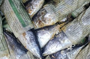 Ahli pangan IPB menjelaskan bahaya kertas bekas untuk bungkus ikan. Foto: Berita IPB