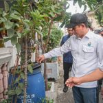 Warga Sunter Agung Jakarta mengubah gang sempit jadi kebun. Foto: KLH